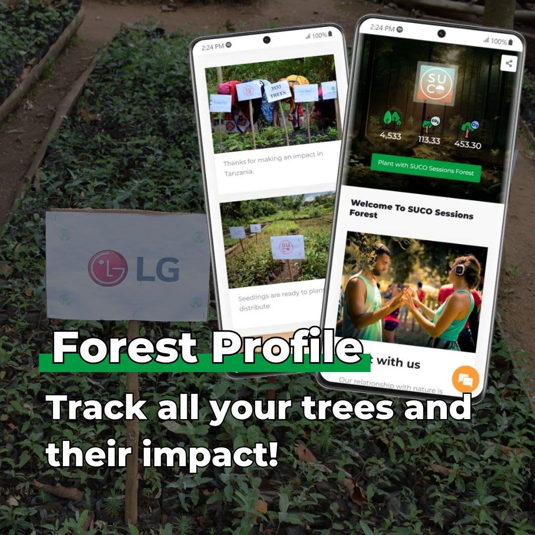 Gift Us a Forest – 200 Trees to Celebrate Our Love – “Let Love Grow”