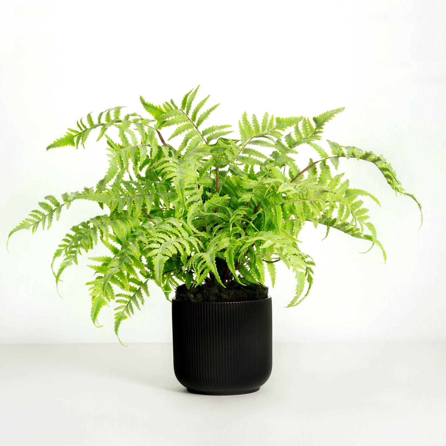Artificial fern plant in black pot - 18"