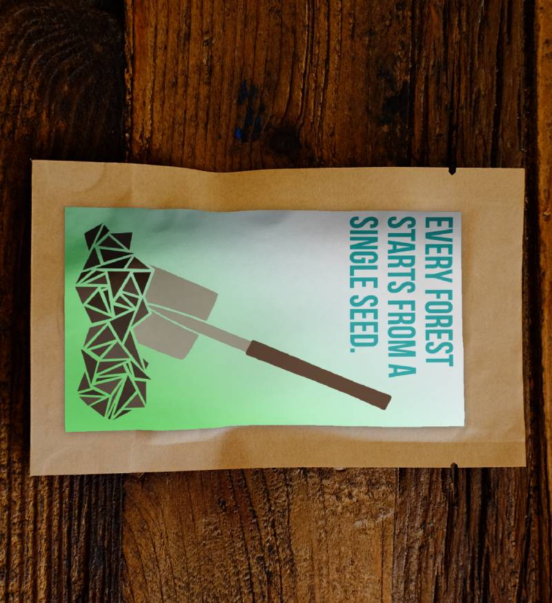 Every Forest Starts From a Single Seed - Plants 50 Trees