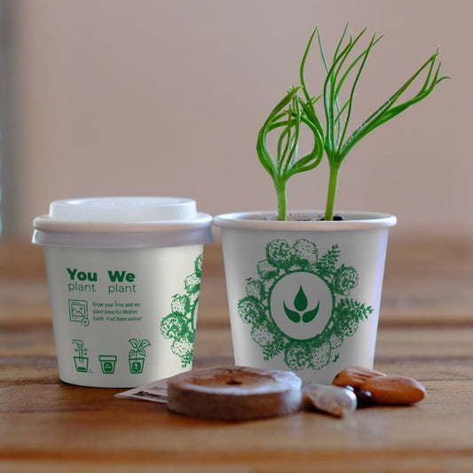Forest Ambassador Tree Cup, We Plant 200 More Trees