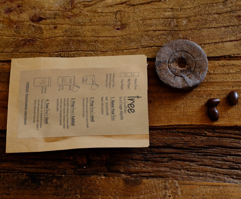 Homeland of the Heart